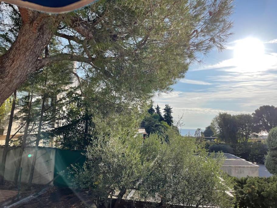 Cassis, Superbe Appartement Avec Terrasse Экстерьер фото